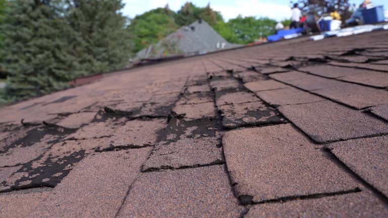 Best Emergency Roof Repair Services  in Holcom, KS