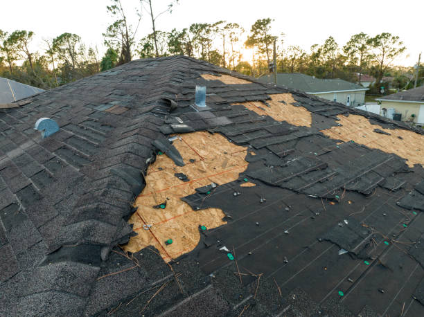 Best Roof Insulation Installation  in Holcom, KS